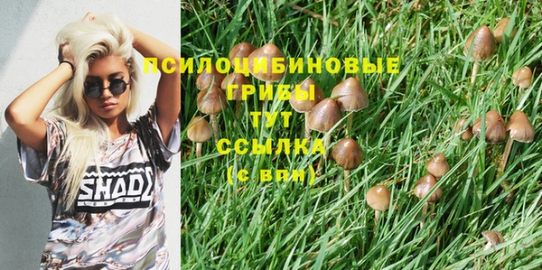 каннабис Новокубанск