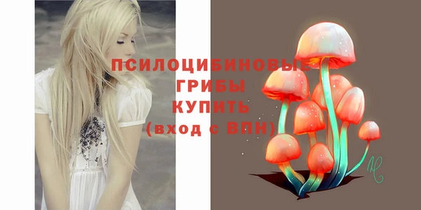 каннабис Новокубанск